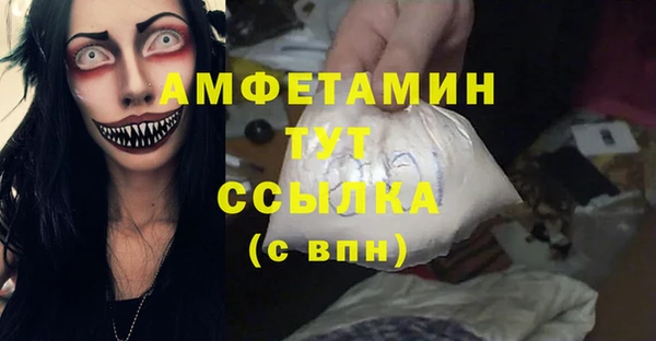 шишки Беломорск