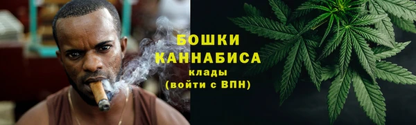 сатива Белоозёрский