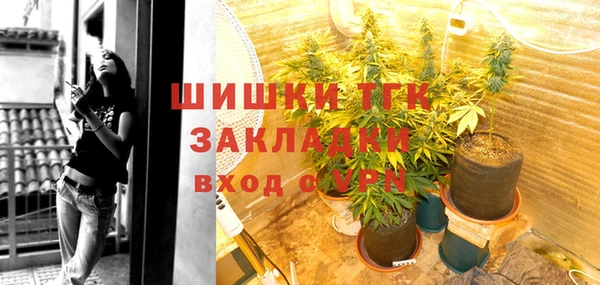 шишки Беломорск