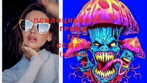 шишки Беломорск