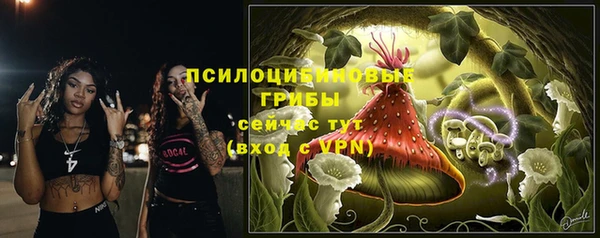 шишки Беломорск