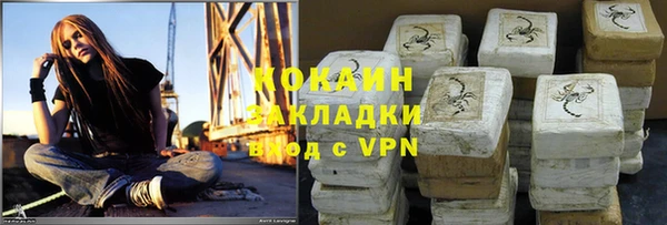 шишки Беломорск