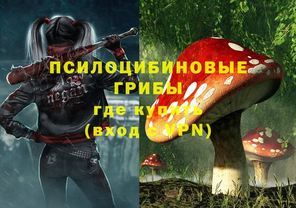 сатива Белоозёрский