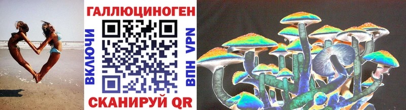 Псилоцибиновые грибы Psilocybe  Демидов 